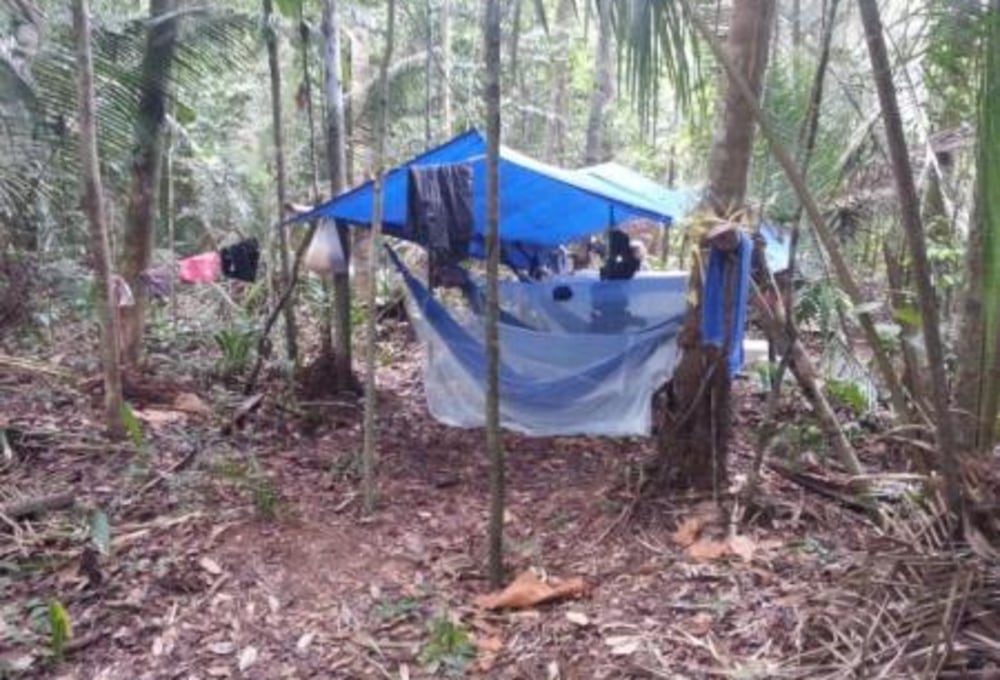 Erlebnis Amazonas – Tierbeobachtungen & Angeln